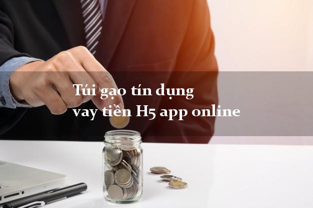 Túi gạo tín dụng vay tiền H5 app online
