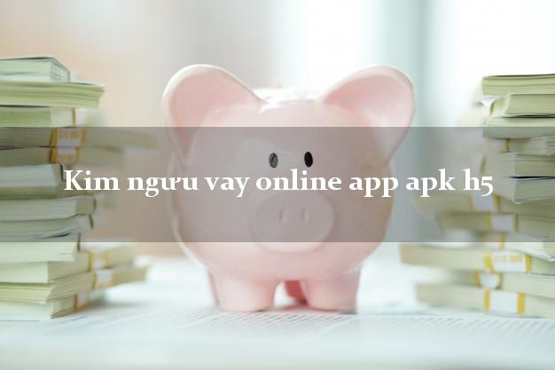Kim ngưu vay online app apk h5