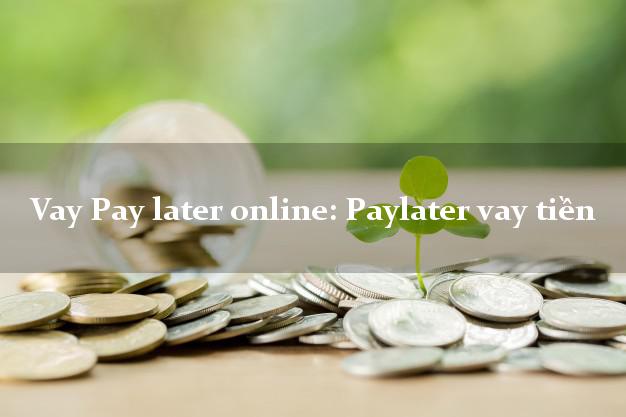 Vay Pay later online: Paylater vay tiền hỗ trợ nợ xấu